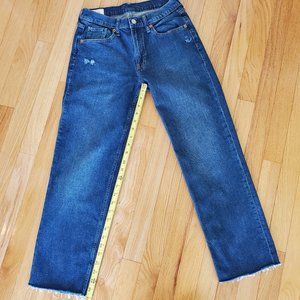 Gap 90's Loose mid rise jeans size 25 0R women's